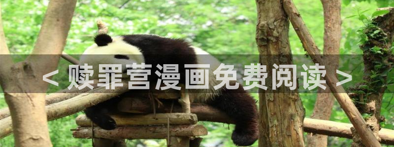 新新 漫画：< 赎罪营漫画免费阅读 >