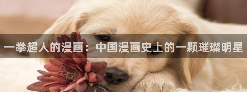 新新漫画漫画分类：一拳超人的漫画：中国漫画史上的一颗璀璨明星