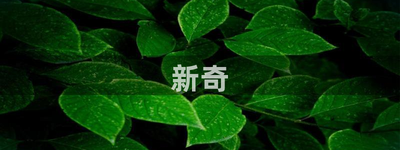 新新漫画正版下载：新奇