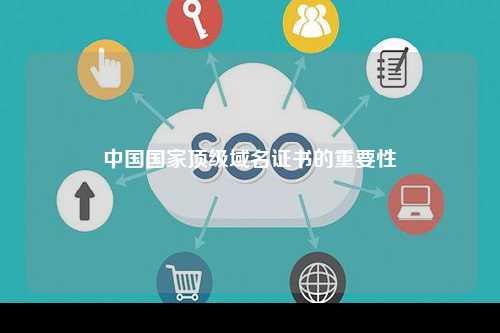 中国国家顶级域名证书的重要性