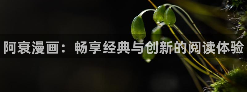 新新漫画网页版：阿衰漫画：畅享经典与创新的阅读体验