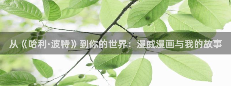 没有钱新新漫画：从《哈利·波特》到你的世界：漫威漫画与我的故事