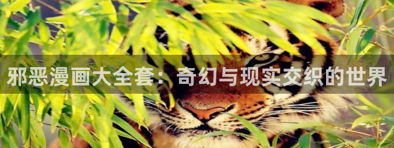 ten count新新漫画：邪恶漫画大全套：奇幻与现实交织的世界