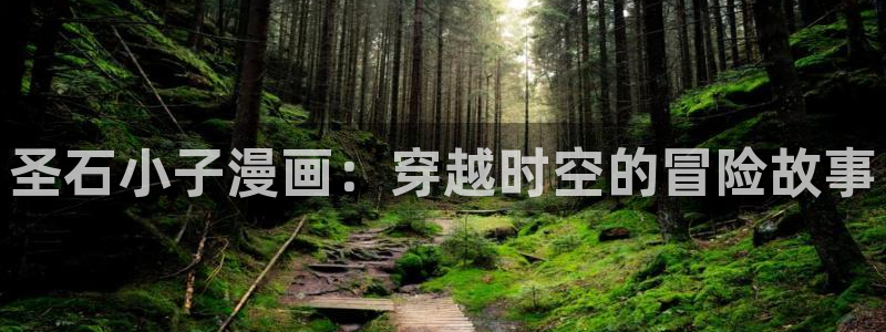 新新漫画备用网：圣石小子漫画：穿越时空的冒险故事