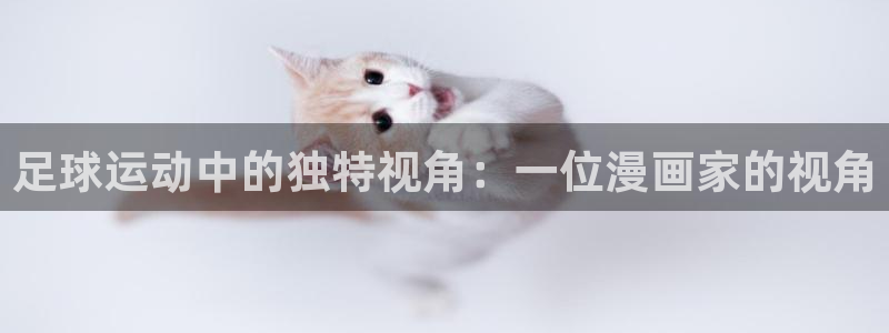 纯情罗曼史新新漫画：足球运动中的独特视角：一位漫画家的视角
