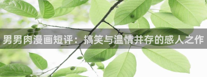新新漫画(正版)：男男肉漫画短评：搞笑与温情并存的感人之作