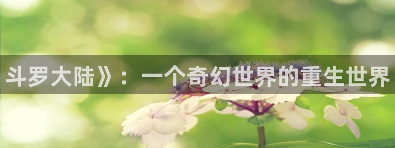 恋爱棱镜新新漫画：斗罗大陆》：一个奇幻世界的重生世界