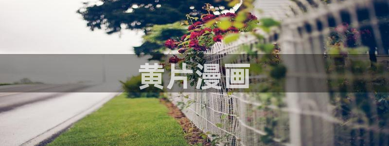 新新漫画手：黄片漫画
