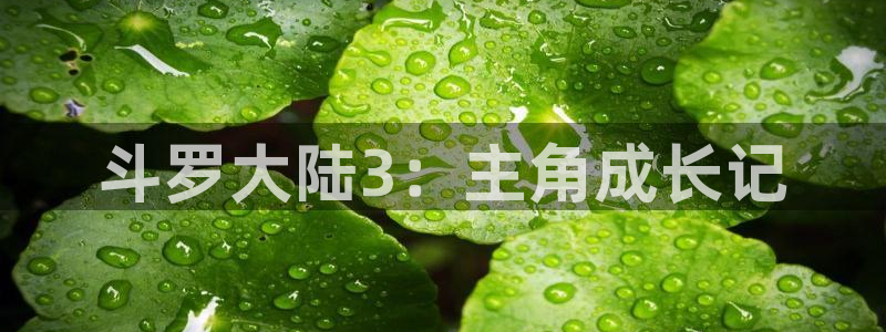 请别太过分新新漫画：斗罗大陆3：主角成长记
