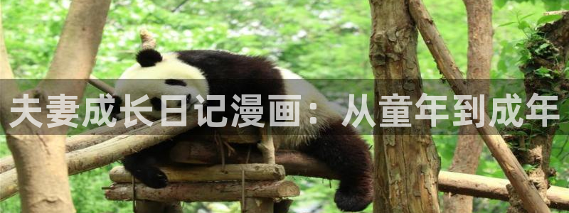新新漫画ios下载：夫妻成长日记漫画：从童年到成年