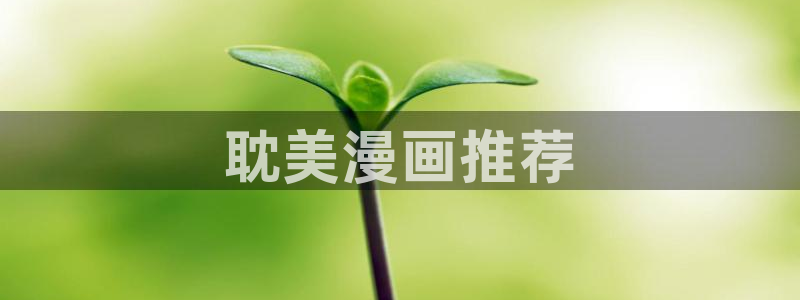 新新漫画在线阅读免费观看：耽美漫画推荐