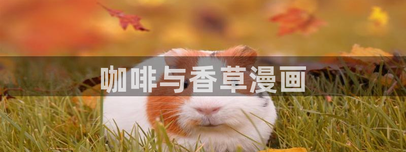 新新漫画客户端ios：咖啡与香草漫画