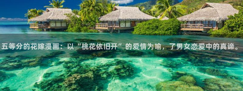 新新漫画移动版：五等分的花嫁漫画：以“桃花依旧开”的爱情为喻，了男女恋爱中的真谛。