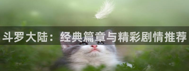 新新漫画世界第一初恋：斗罗大陆：经典篇章与精彩剧情推荐