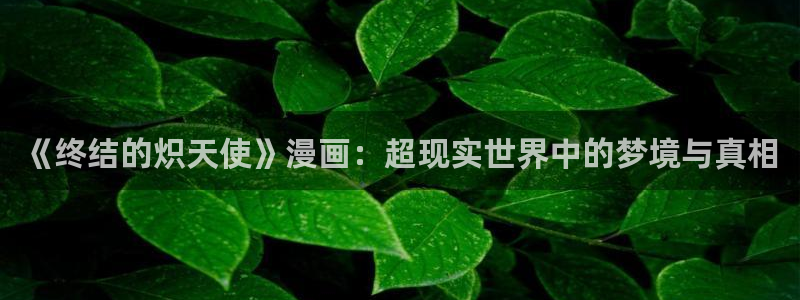 新新漫画app怎么样：《终结的炽天使》漫画：超现实世界中的梦境与真相