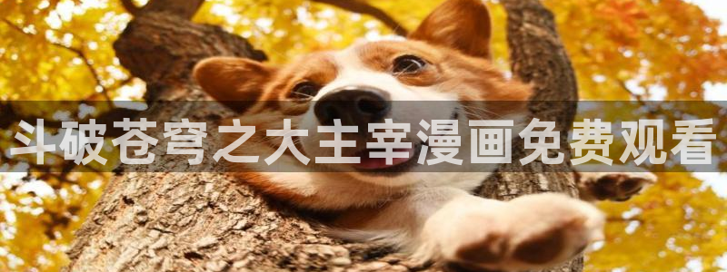 新新漫画网址：斗破苍穹之大主宰漫画免费观看