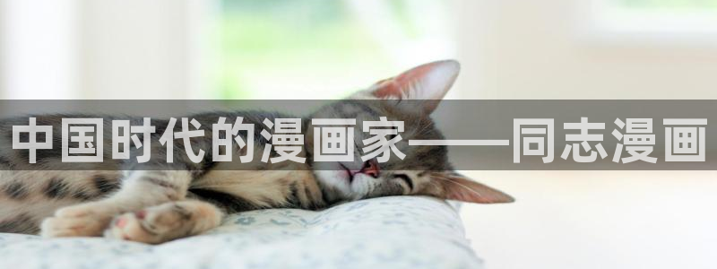 新新漫画免费漫画：中国时代的漫画家——同志漫画