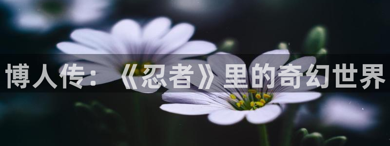 新新漫画在线漫画：博人传：《忍者》里的奇幻世界