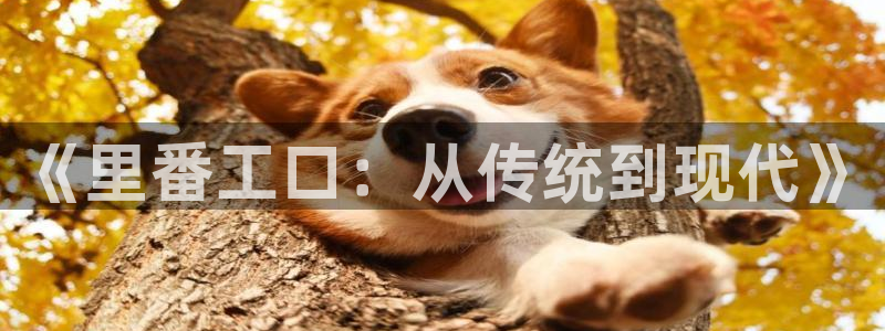 恋爱暴君漫画新新：《里番工口：从传统到现代》