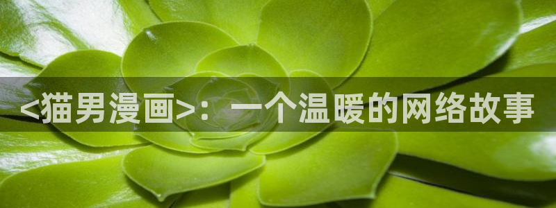 新新漫画无遮挡：<猫男漫画>：一个温暖的网络故事