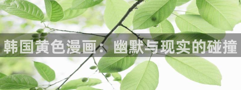 新新漫画网址：韩国黄色漫画：幽默与现实的碰撞