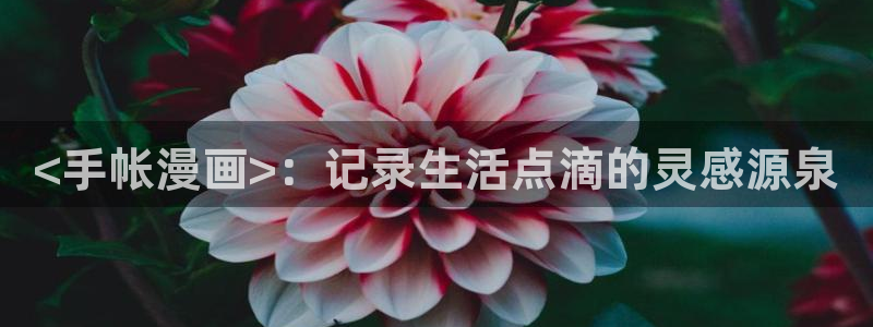 新新漫画ios下载