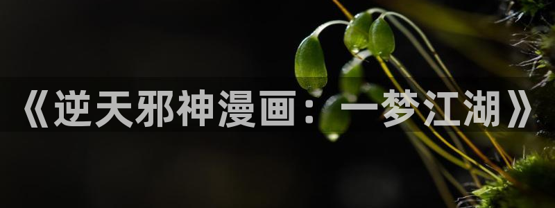 新新漫画网移动版