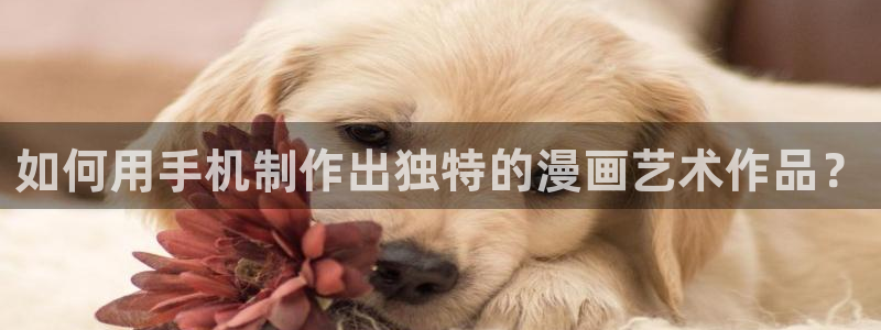 新新漫界