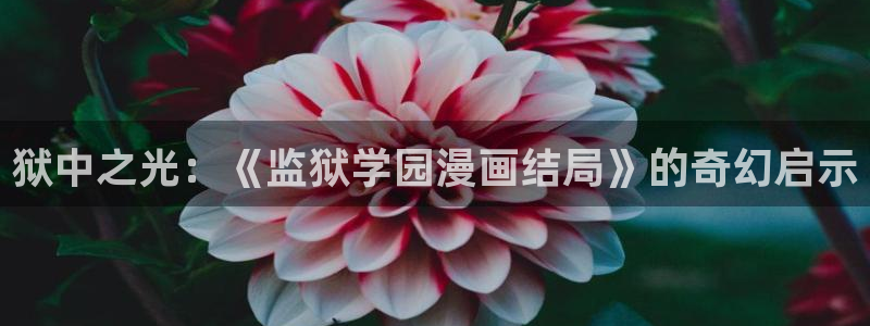 新新漫画官方正版入口