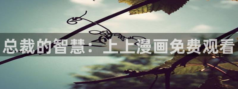 新新漫画bl：总裁的智慧：上上漫画免费观看