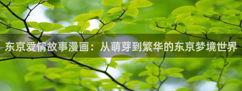 新新漫画观看：东京爱情故事漫画：从萌芽到繁华的东京梦境世界