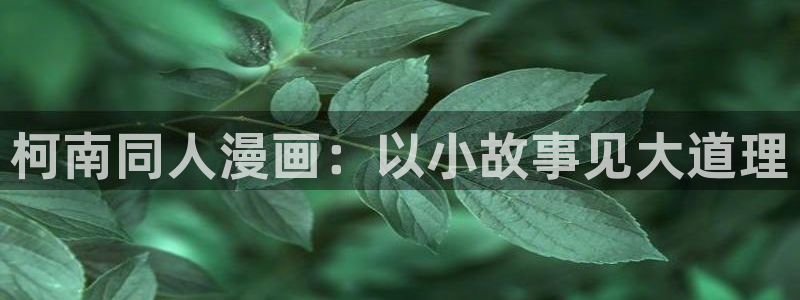 新新漫画无删减：柯南同人漫画：以小故事见大道理